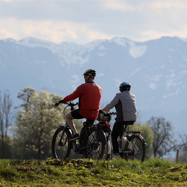 Exploring the Quiet Revolution of Electric Mountain Bikes