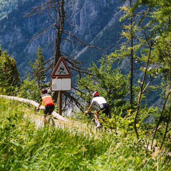 ​10 Reasons Why You Should Go Biking in the Alps in Summer