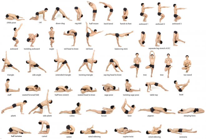 beginner-yoga-moves
