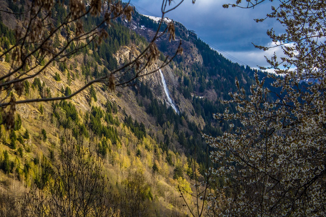 View of La Fare