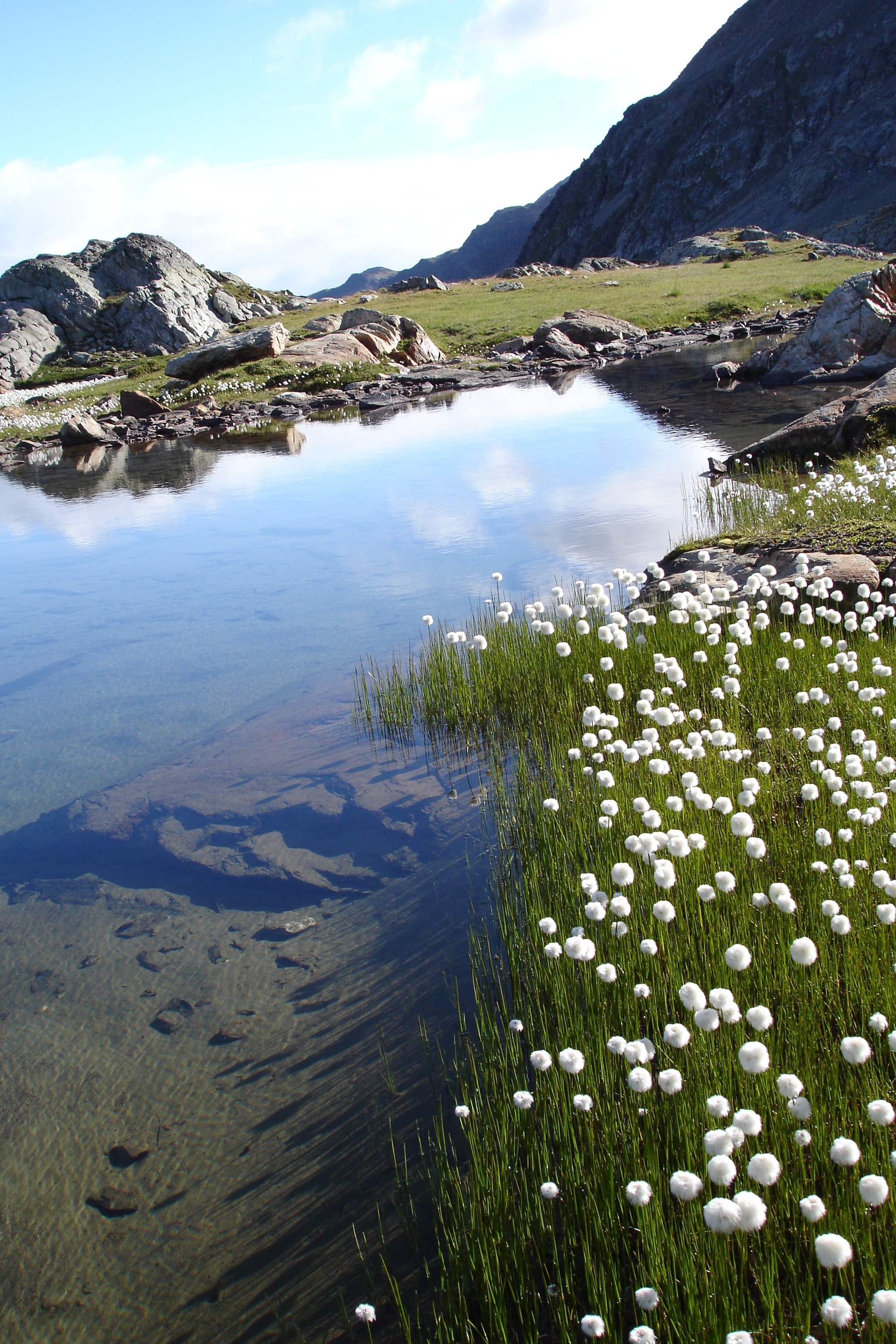 Plan Des Cavalles between Dome des Roussesand Col du Couard