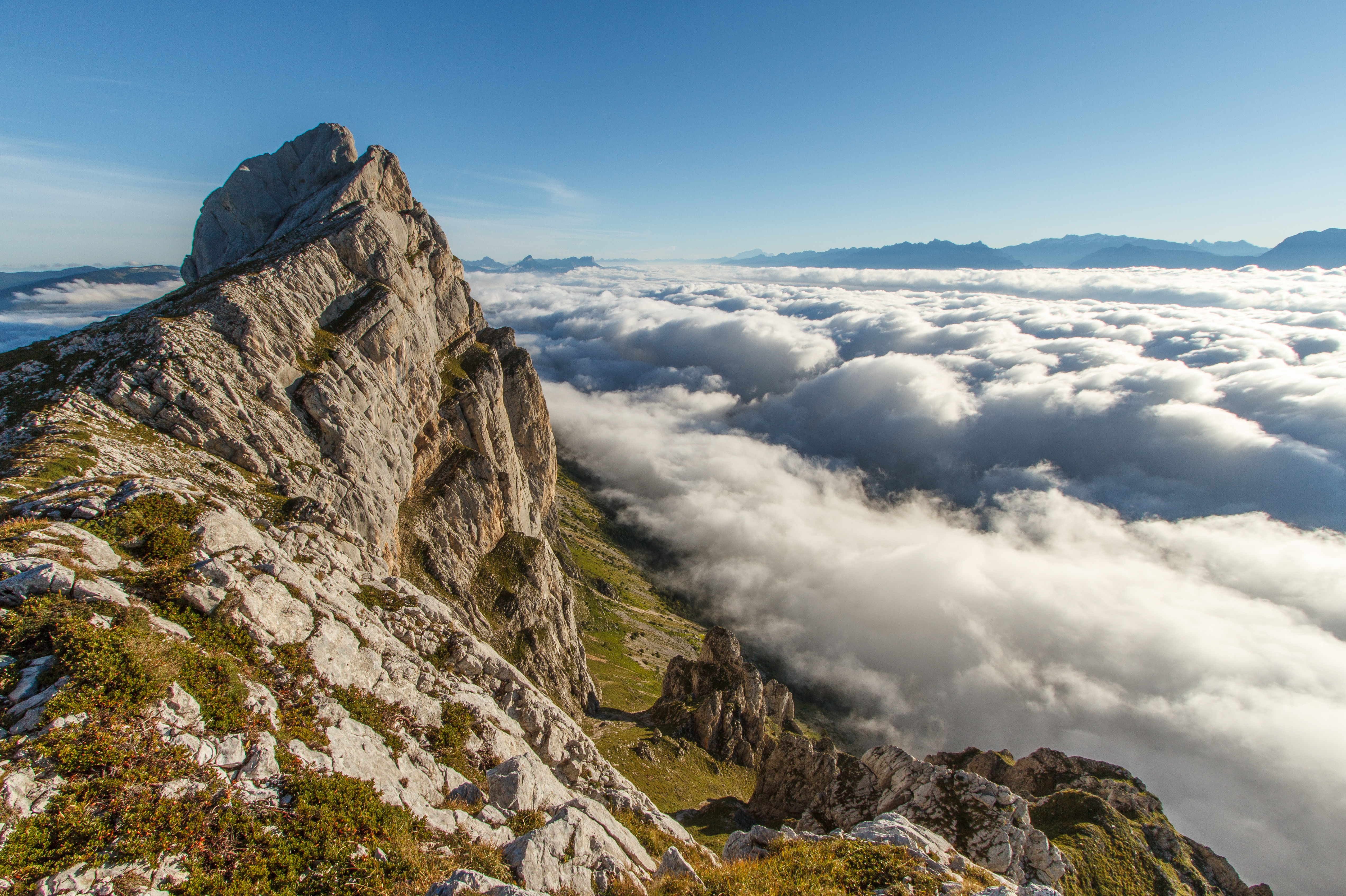 Top of the world